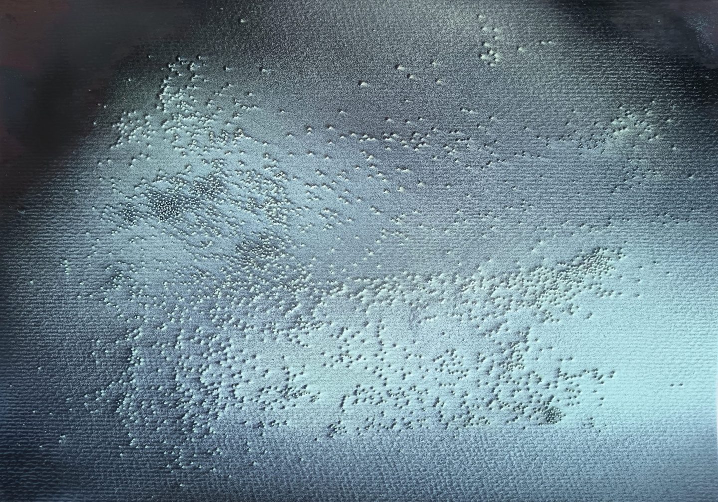 Dettaglio opera di MARTINA BALDETTI & ROBERTO PAGNANI