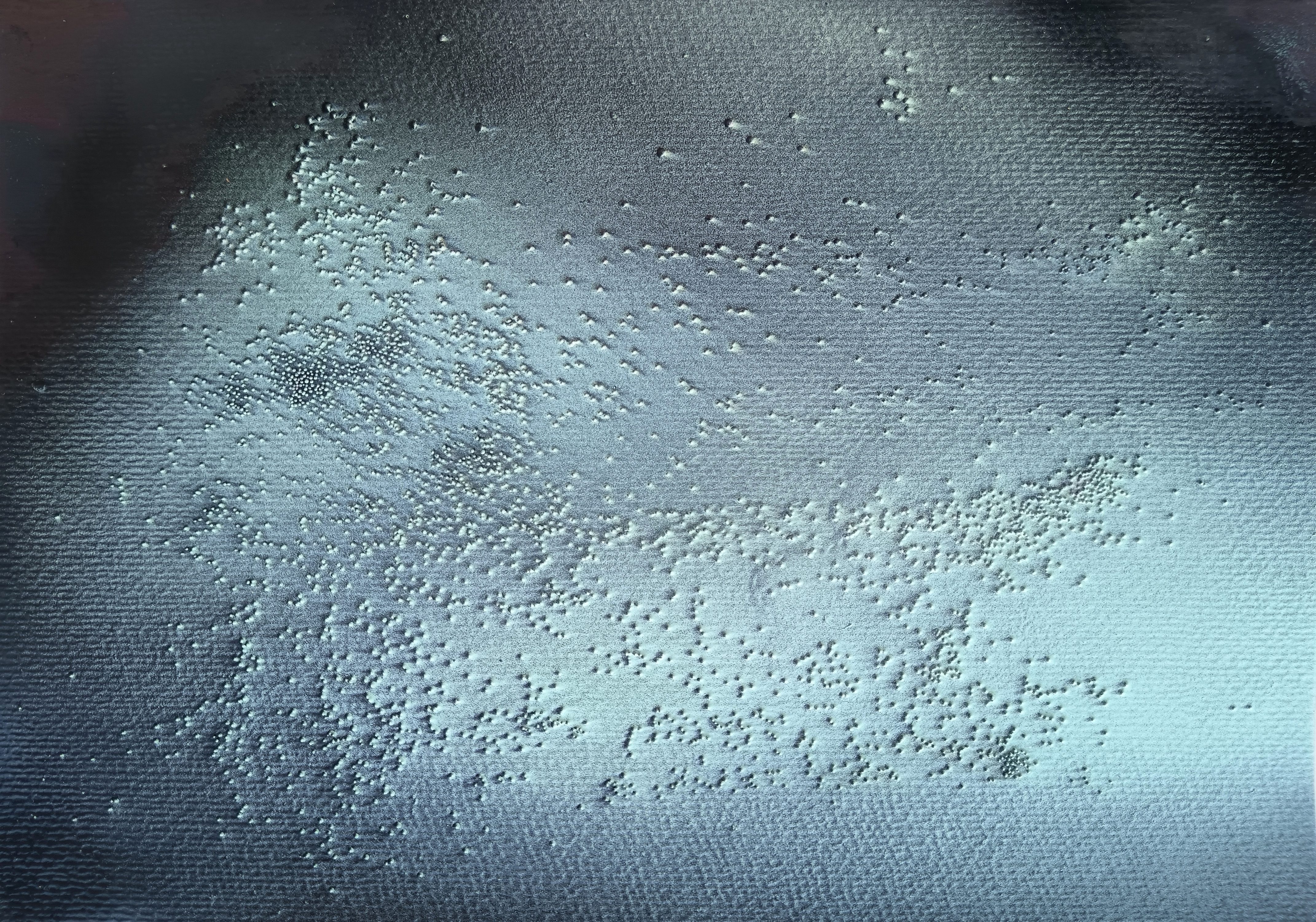 Dettaglio opera di MARTINA BALDETTI & ROBERTO PAGNANI