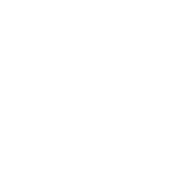 Logo di Fice Emilia-Romagna